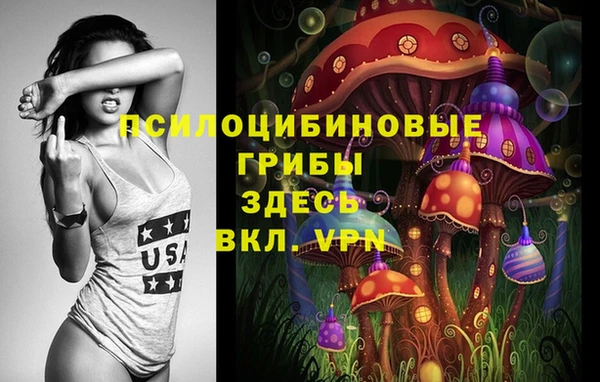 марки lsd Новодвинск