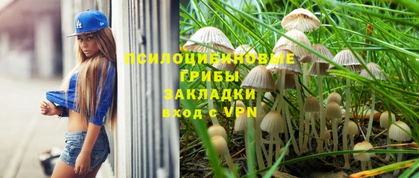 мдпв Нефтекумск