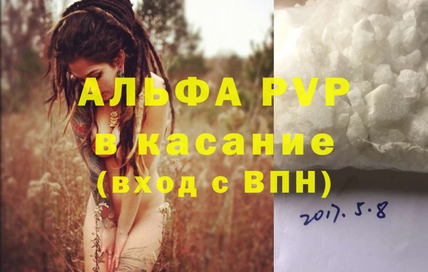 прущая мука Вяземский