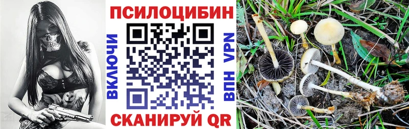 Галлюциногенные грибы Magic Shrooms  Приморско-Ахтарск 
