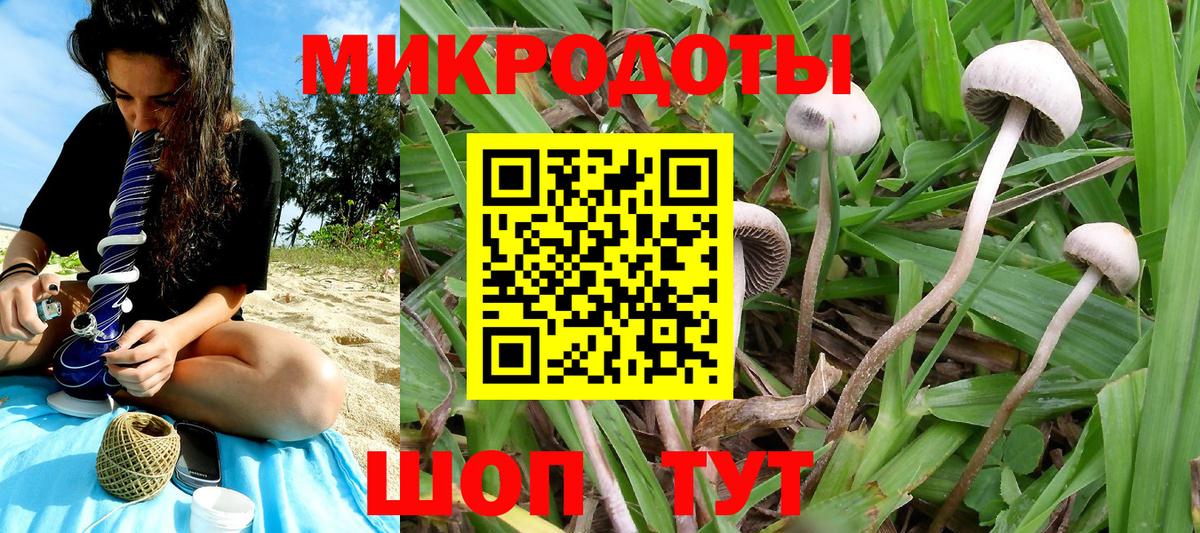 Псилоцибиновые грибы Psilocybine cubensis  Галлюциногенные грибы Psilocybine cubensis  Приморско-Ахтарск  Вход с VPN 